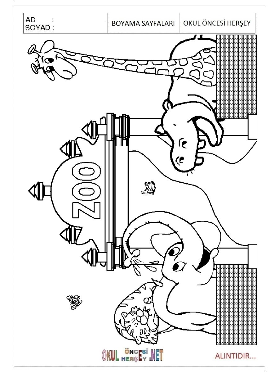 Животные в зоопарке раскраска для средней группы