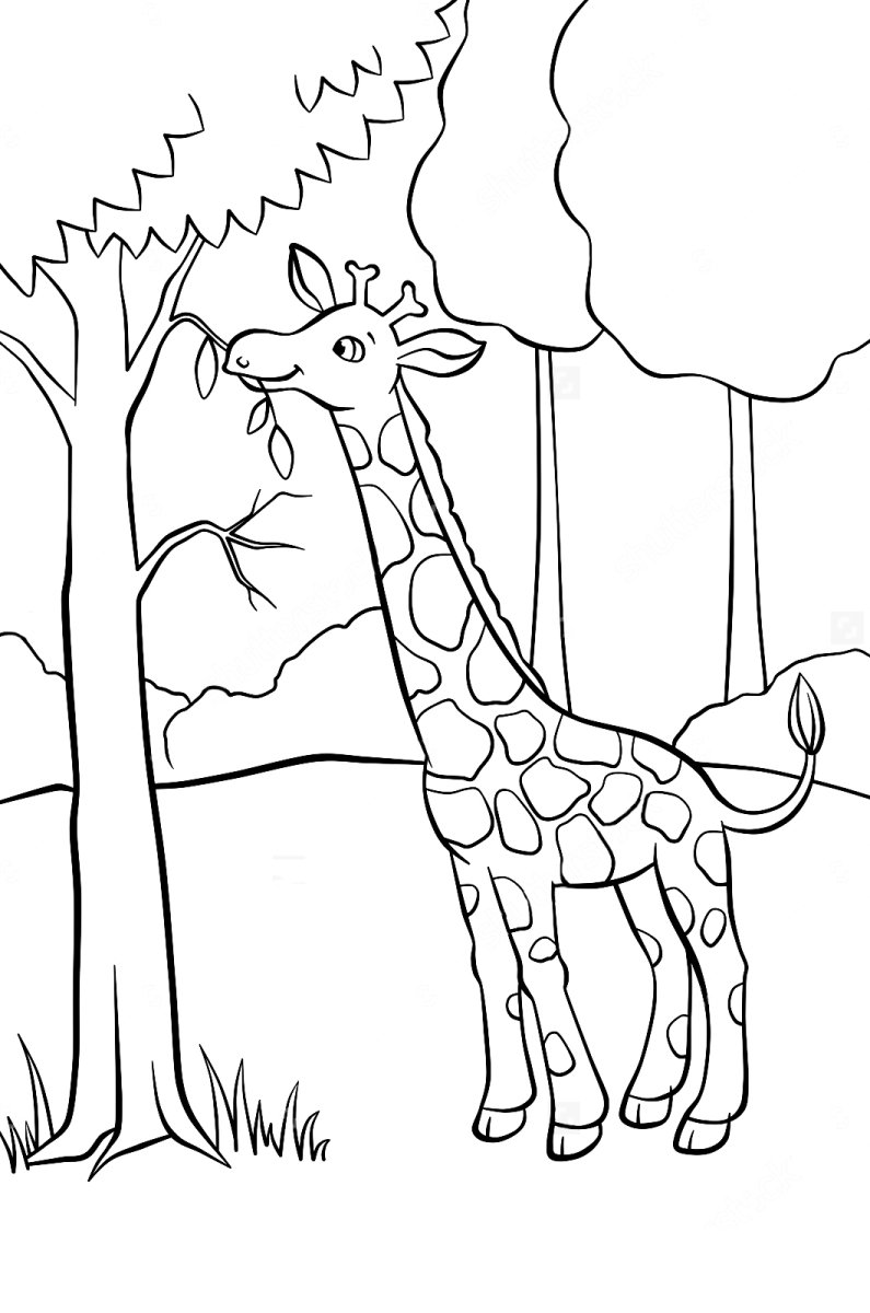 Зоопарк раскраска для детей