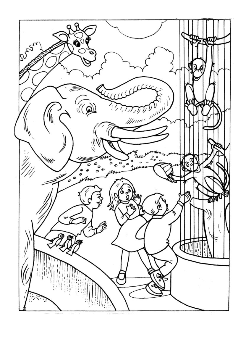 Раскраска зоопарк