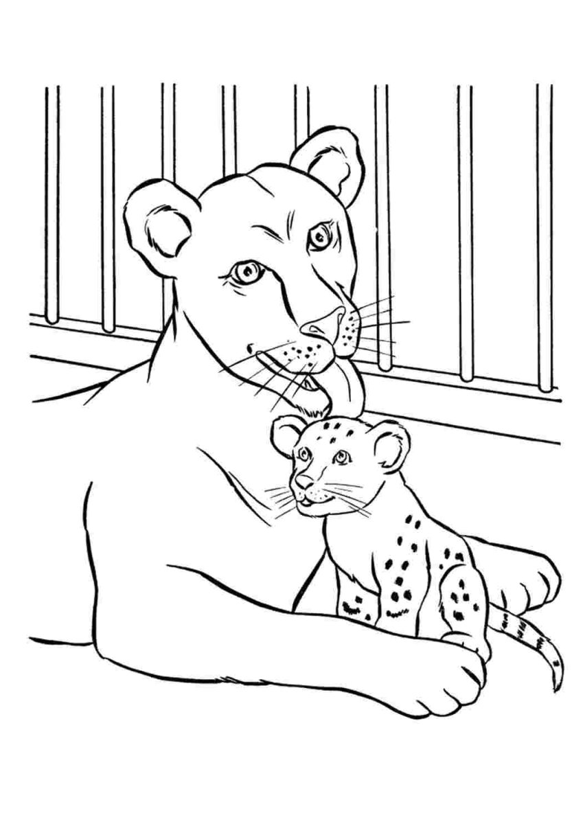 Зоопарк раскраска для детей