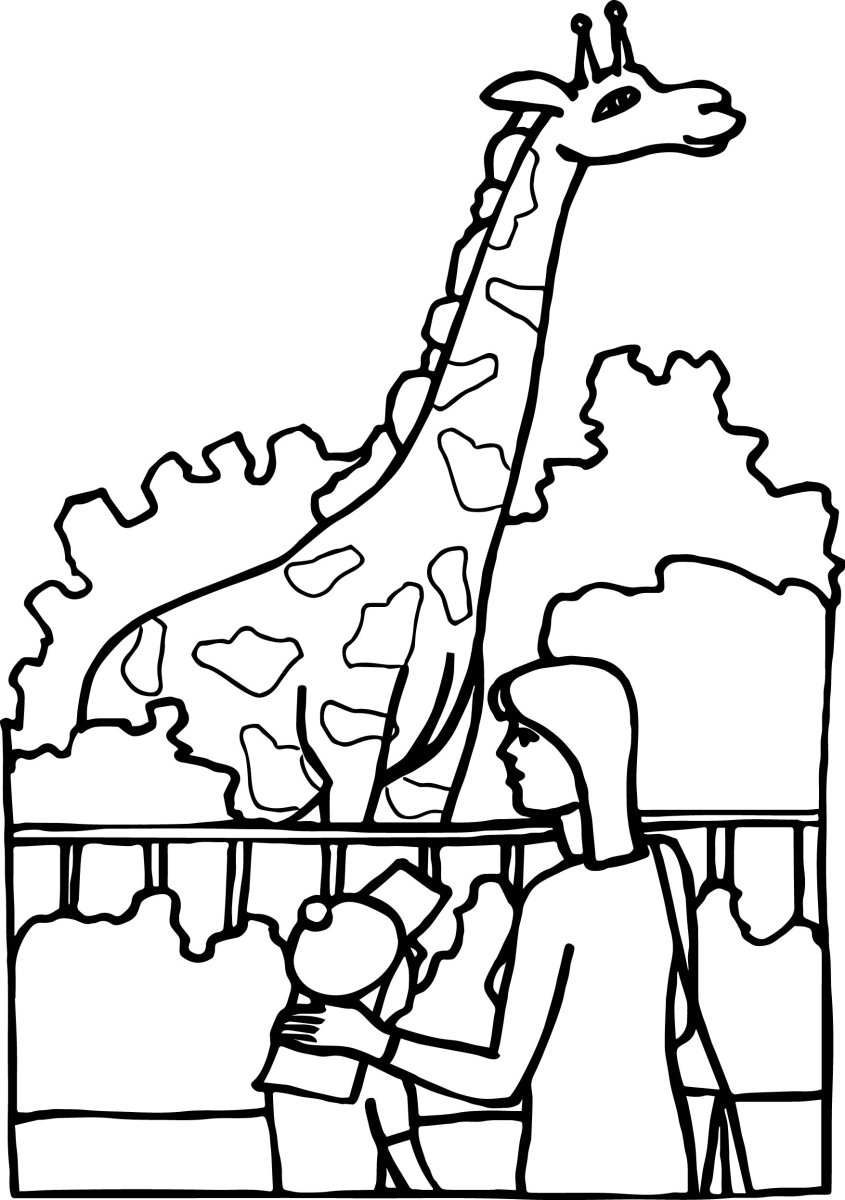 Раскраска зоопарк