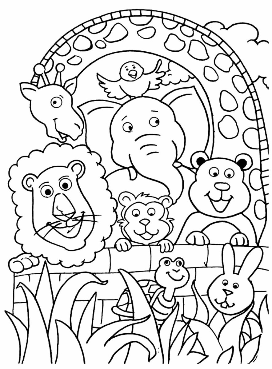 Животные зоопарка раскраски для детей