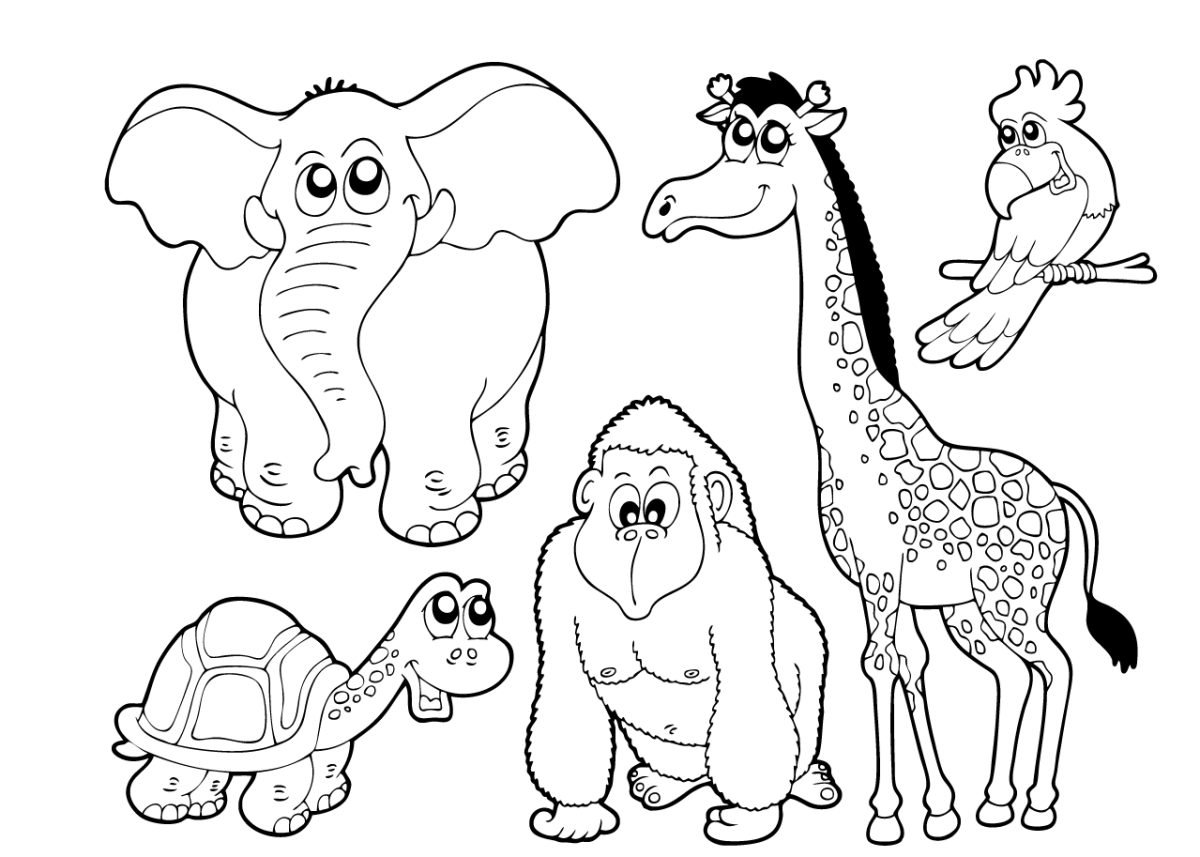 Московский зоопарк раскраска