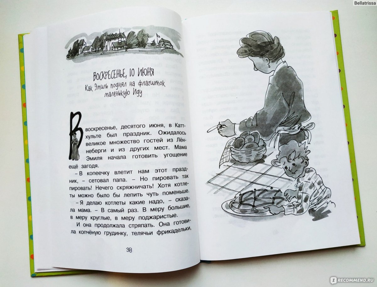 Приключения Эмиля из Лённеберги книга