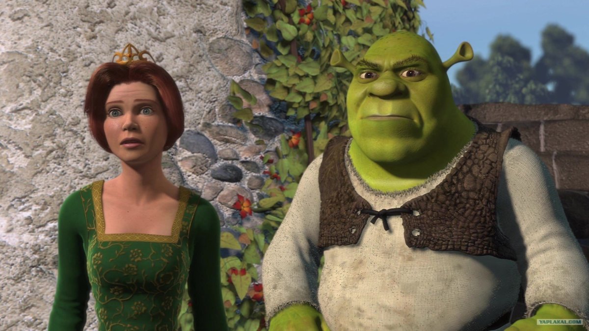 Принцесса Фиона арт