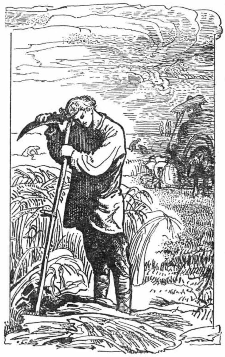 А Кольцова косарь