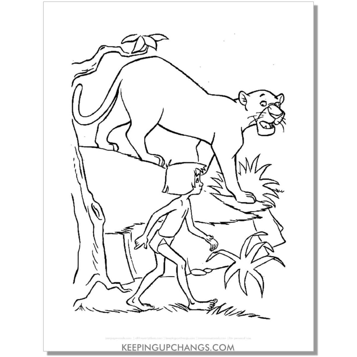 Разукрашки книга джунглей