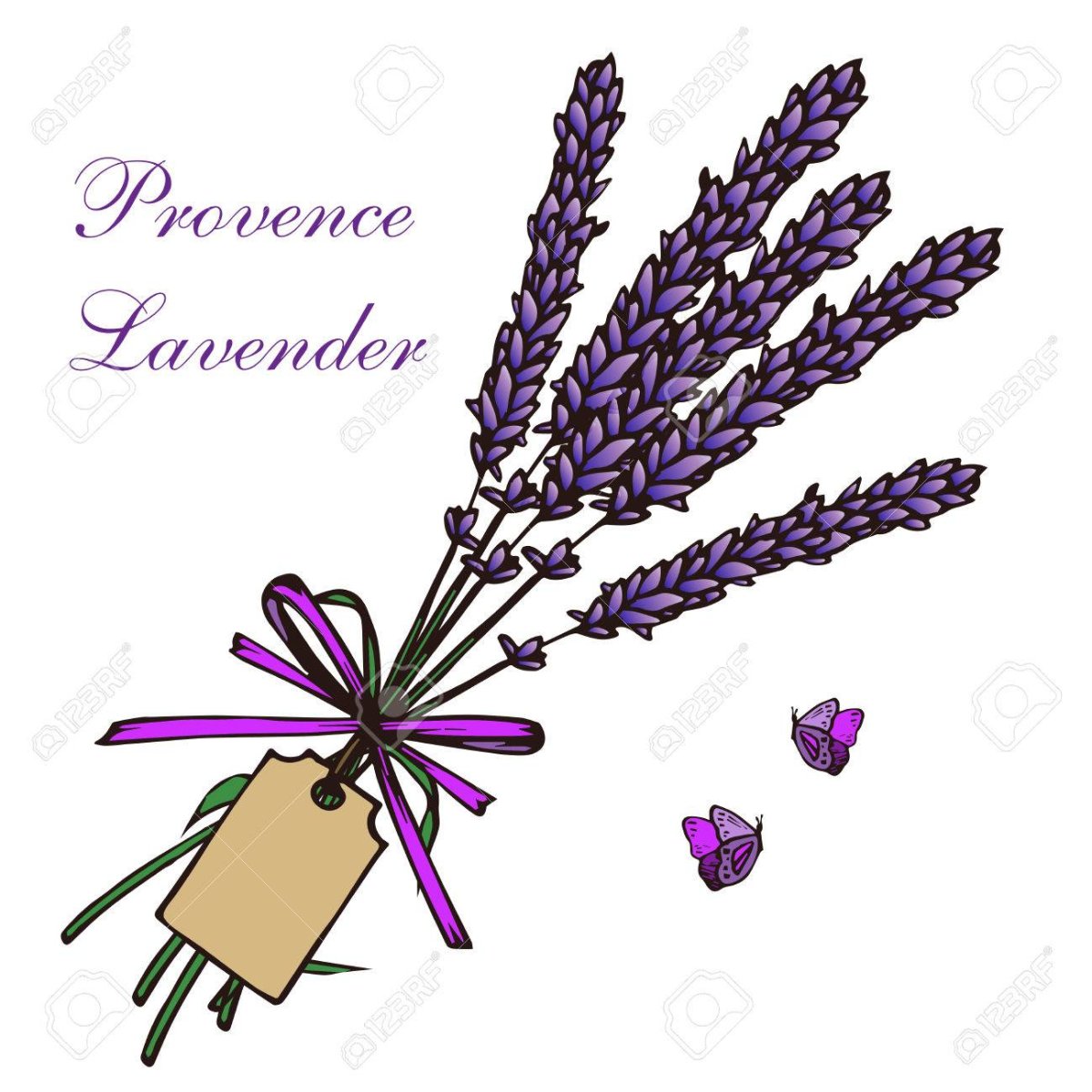 Полевые цветы эскиз