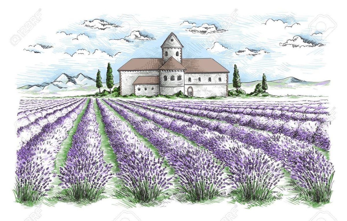 Раскраска Лаванда в корзинке