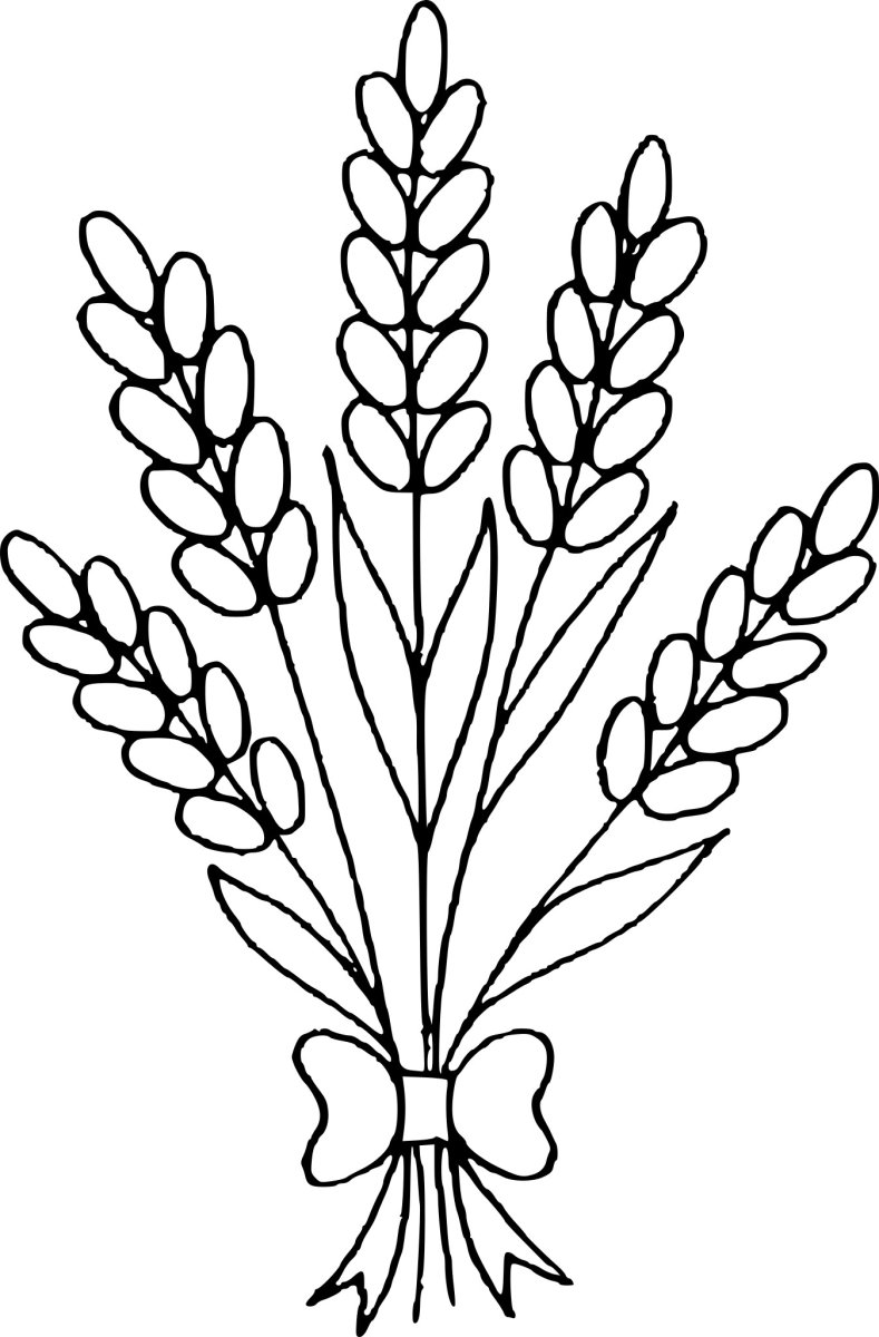 Татушки с рисунком веточек лаванды