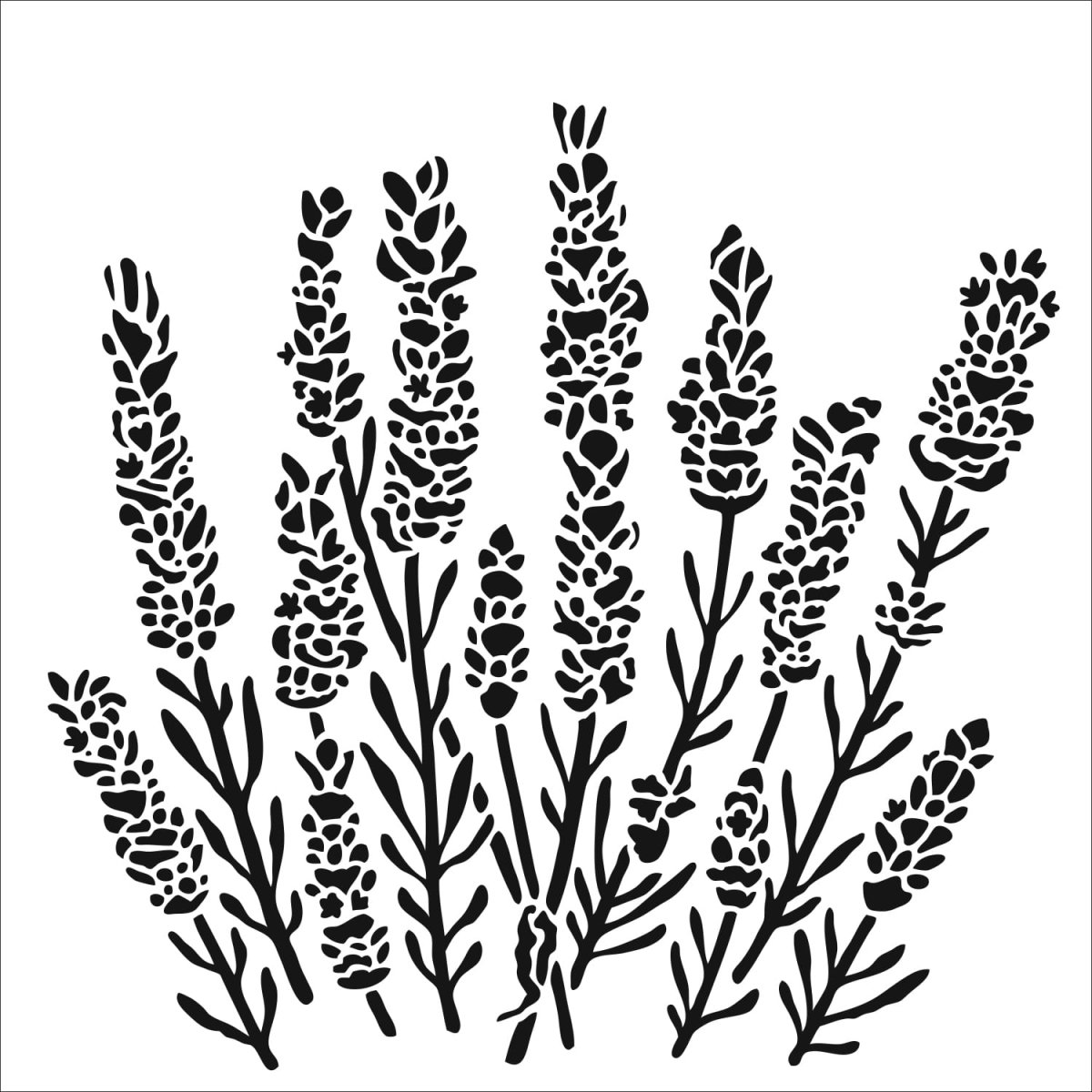 Лаванда Графика