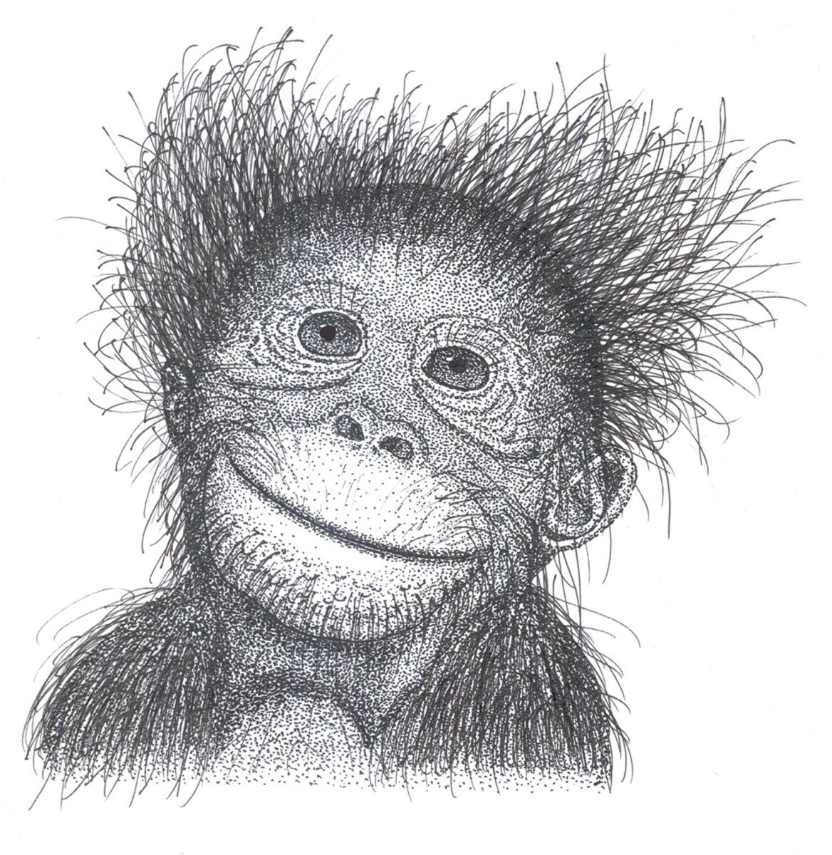 Обезьяна рисунок карандашом