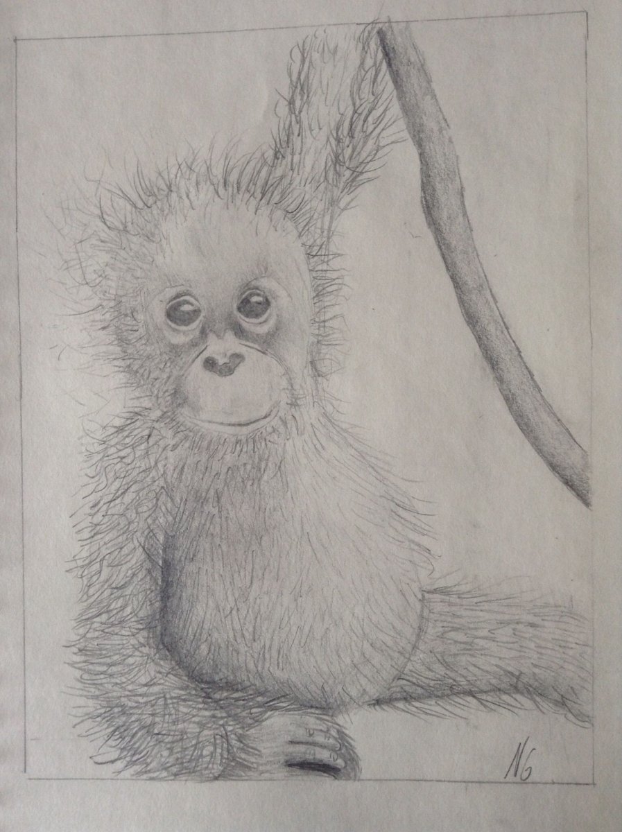 Поэтапное рисование обезьяны для детей