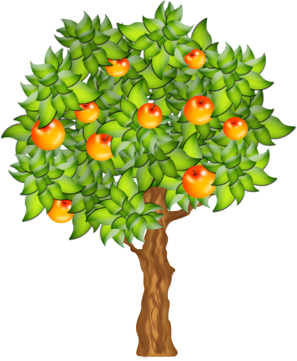 Фруктовые деревья для детей