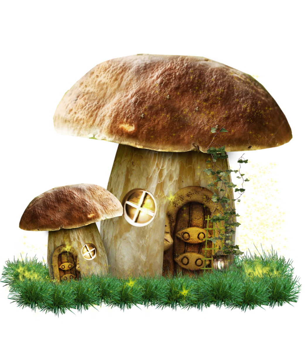 Мухомор и лягушка инди КИД