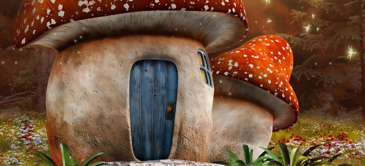 Сказочные грибы в реальности