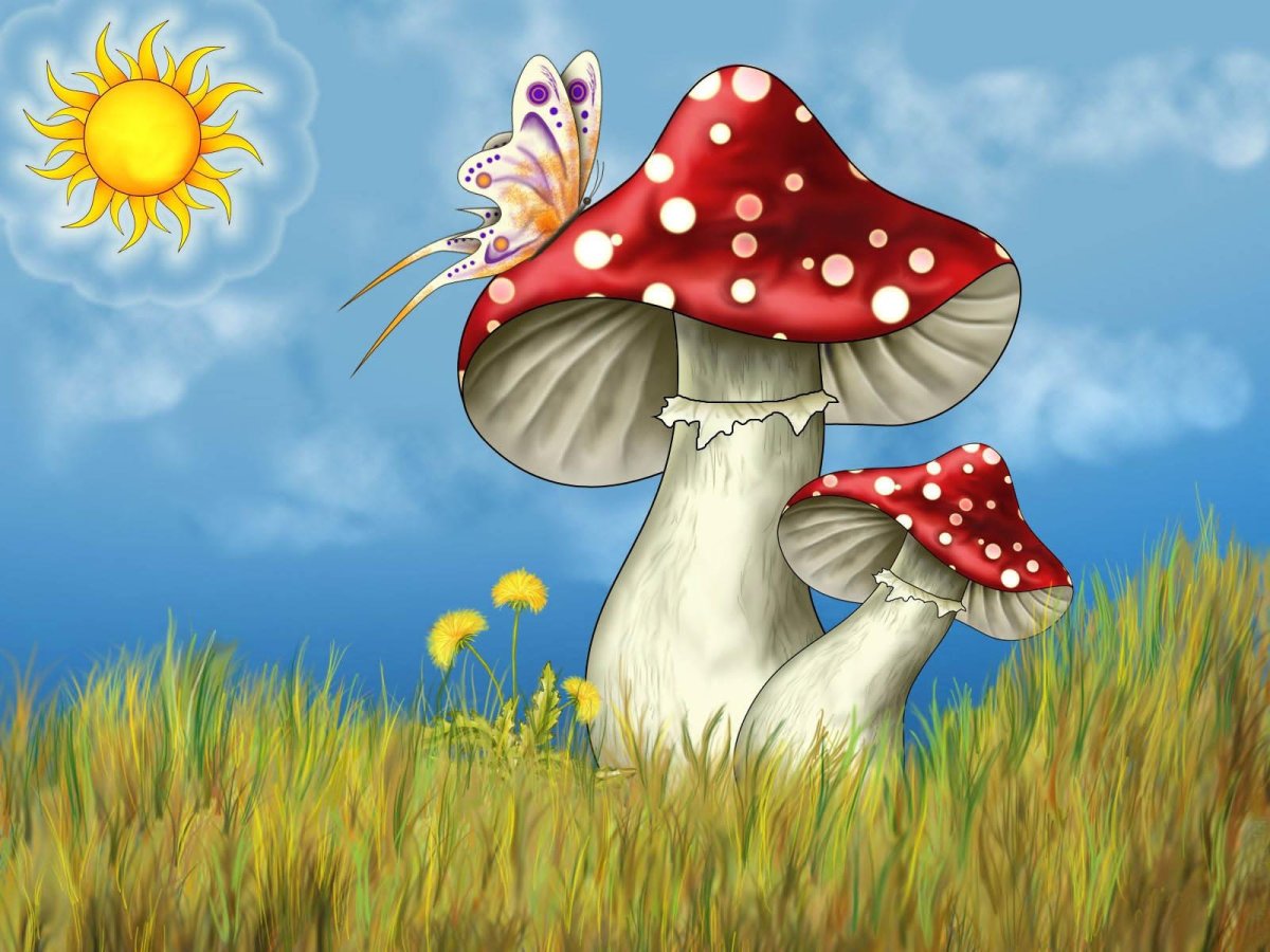 Мухомор рисунок