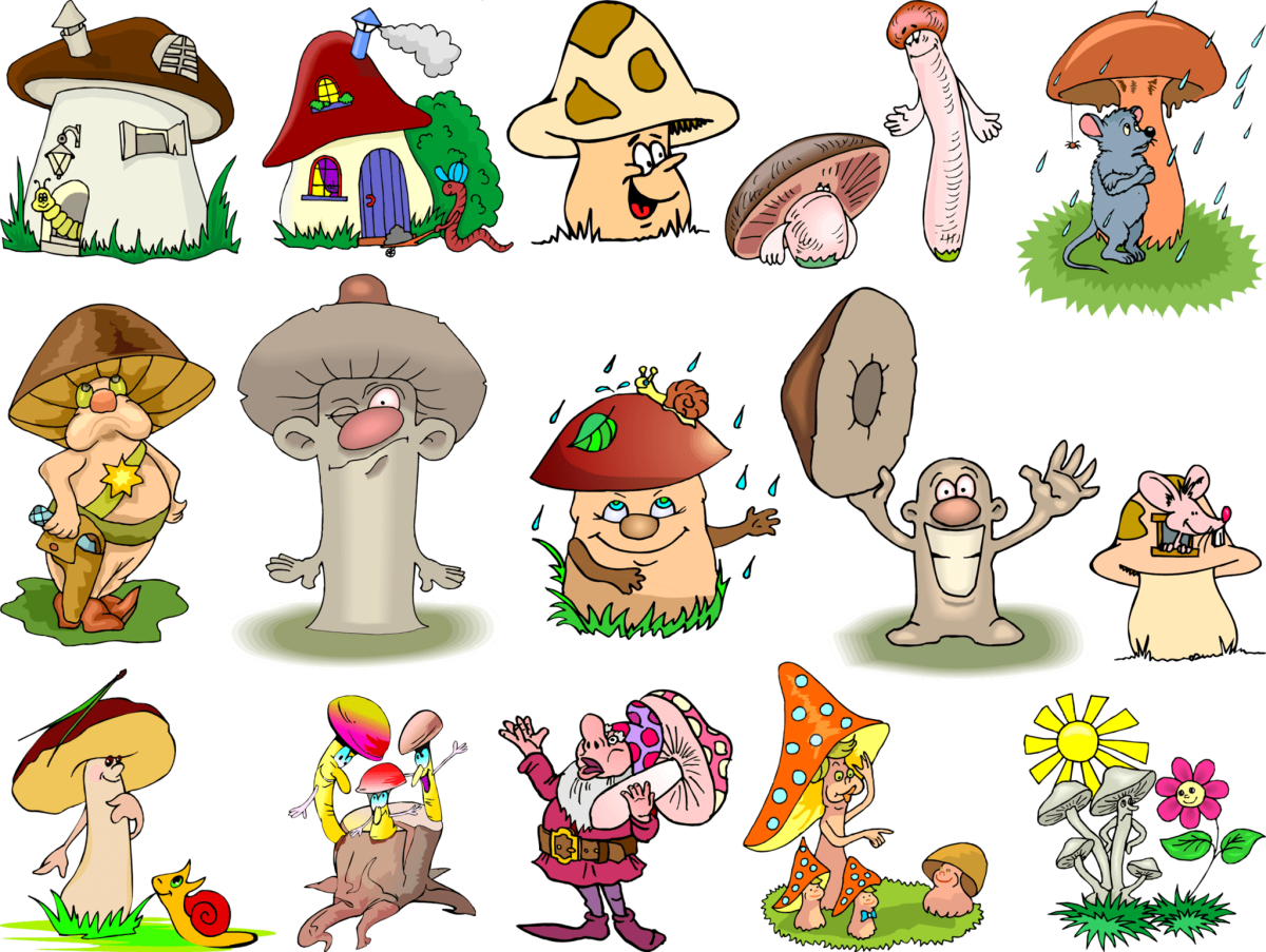 Гриб Боровик для детей