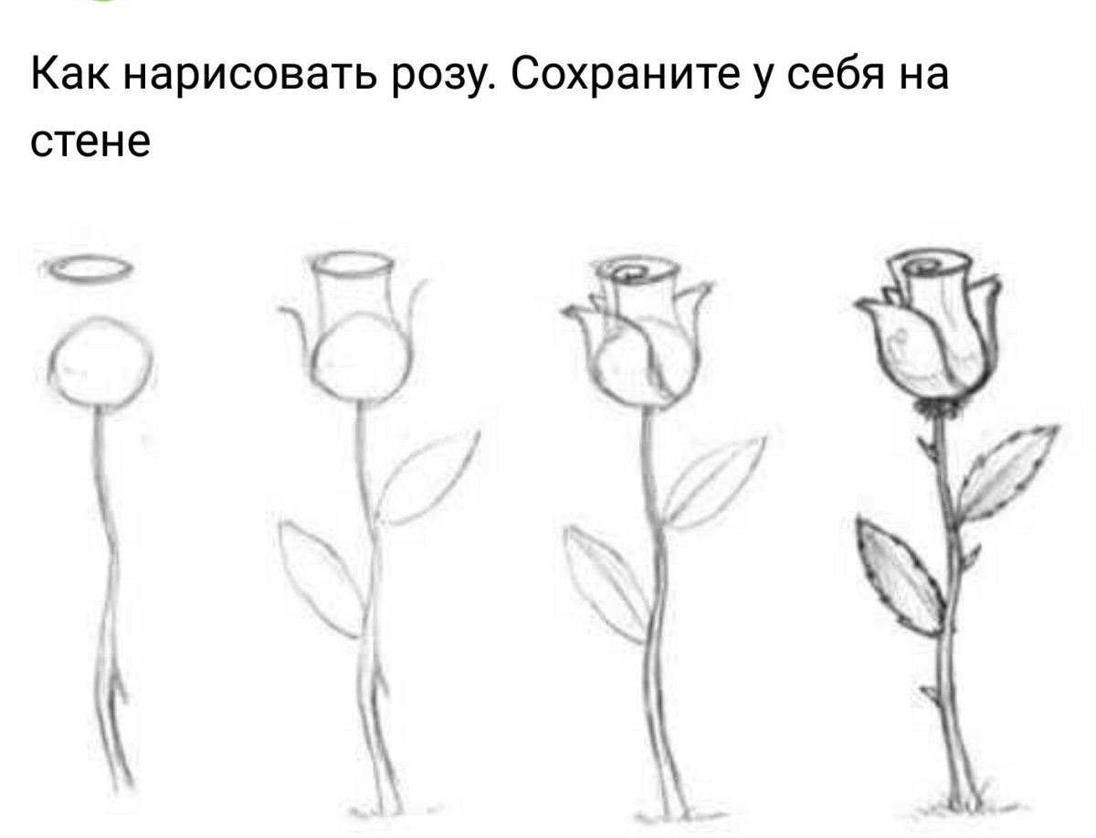 Красивые рисунки в тетрадке