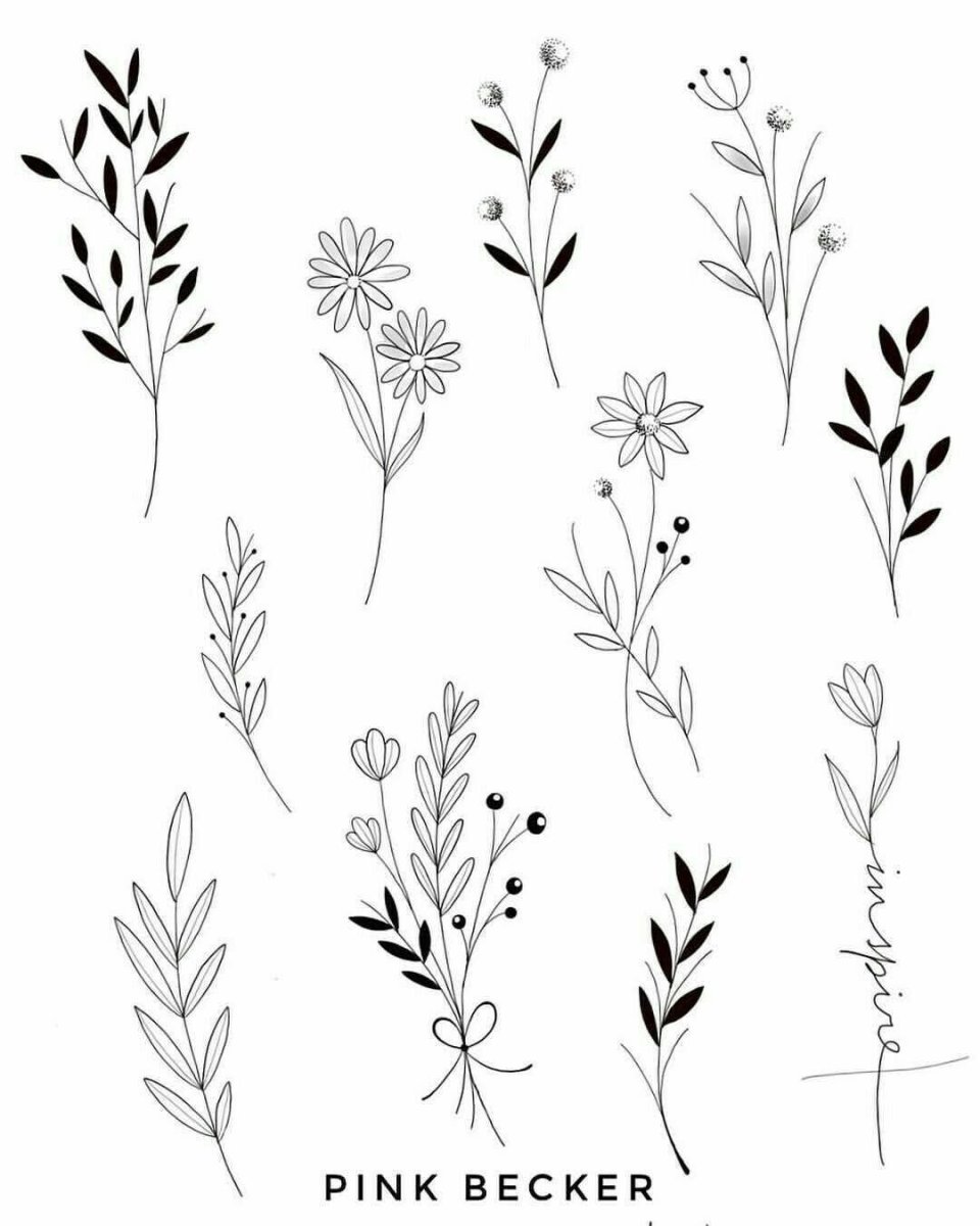 Полынь гравюра