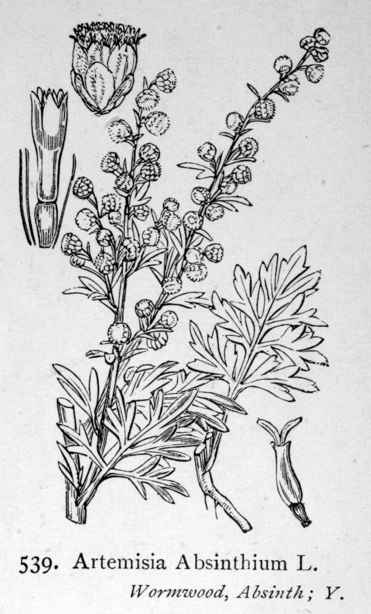 Минималистичные зарисовки ведьмы