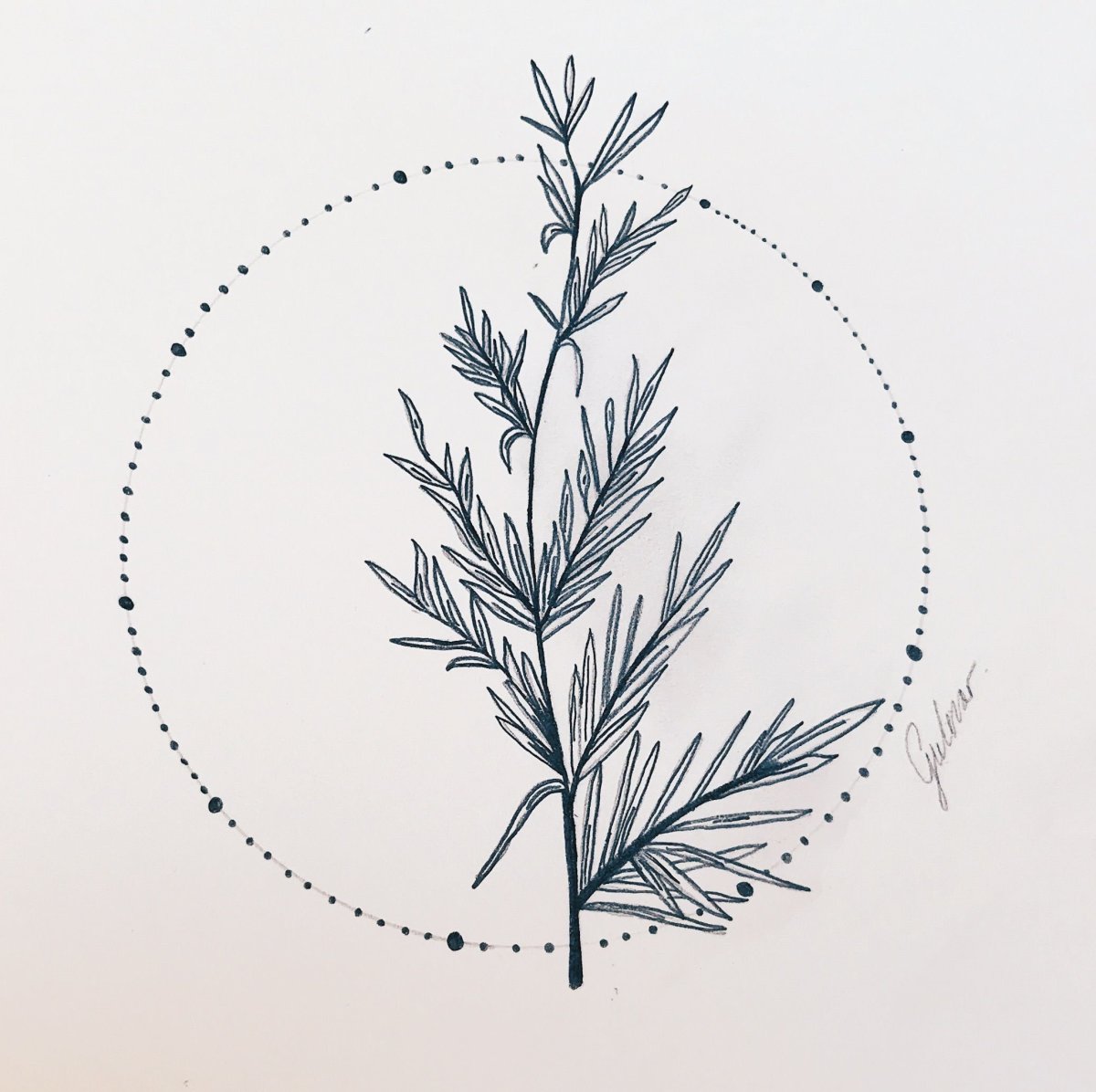 Цветы Минимализм