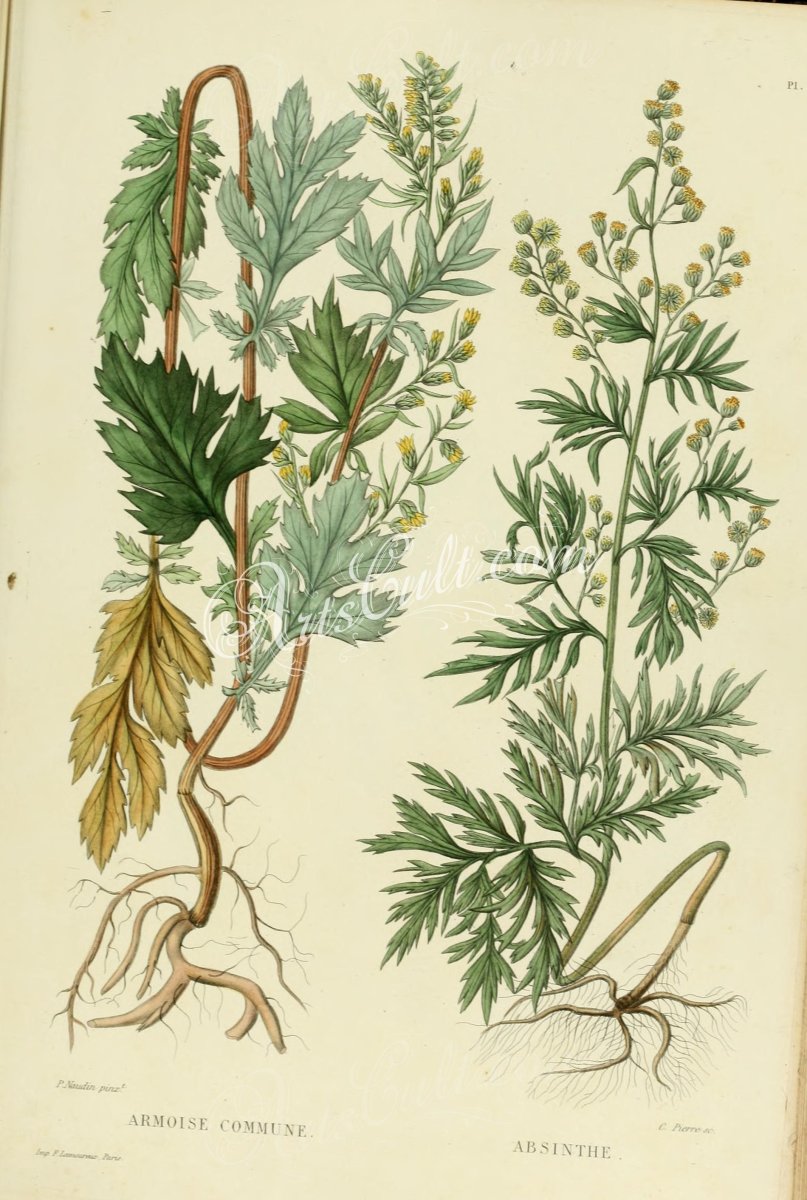 Маленькие цветы эскиз