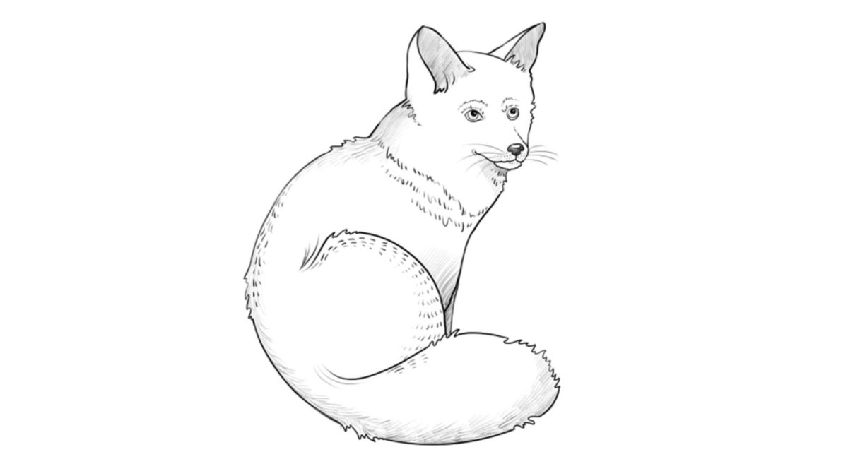 Лисичка рисунок для детей карандашом