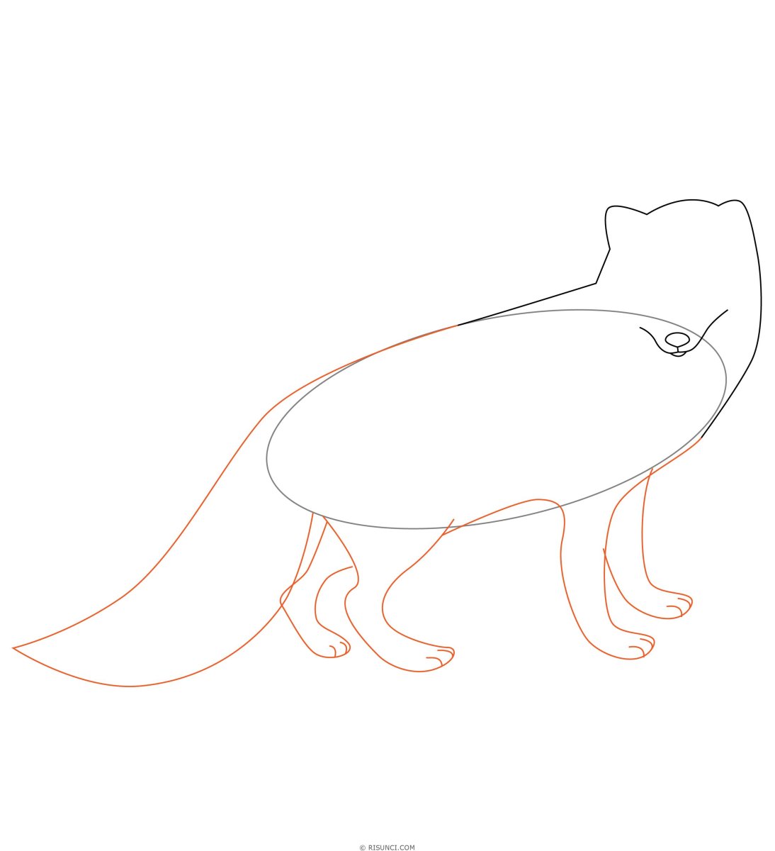 Лиса рисунок