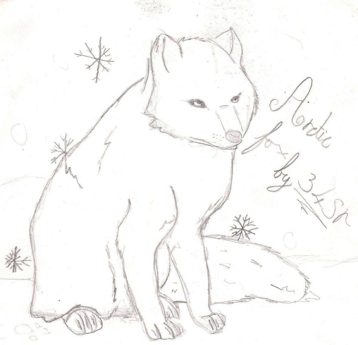 Легкий рисунок песца