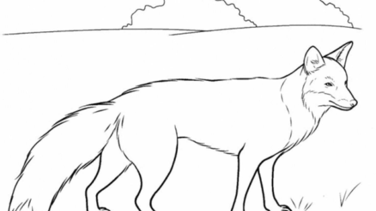 Наклейка песец