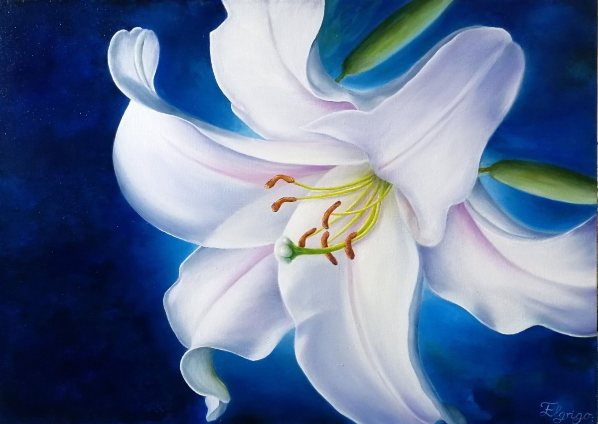 Лилия маслом