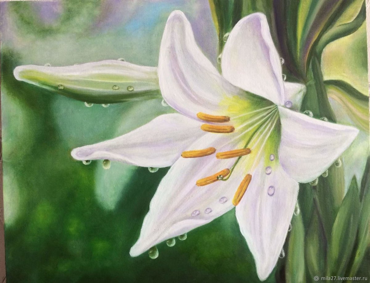 Магдалена Мюррей художник лилии