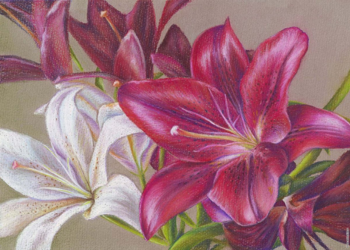 Лилия Александровна Островская художник