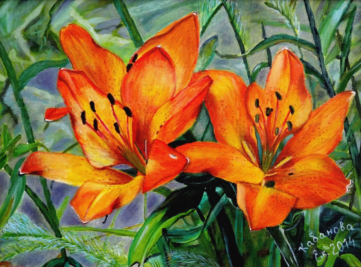 Лилия маслом