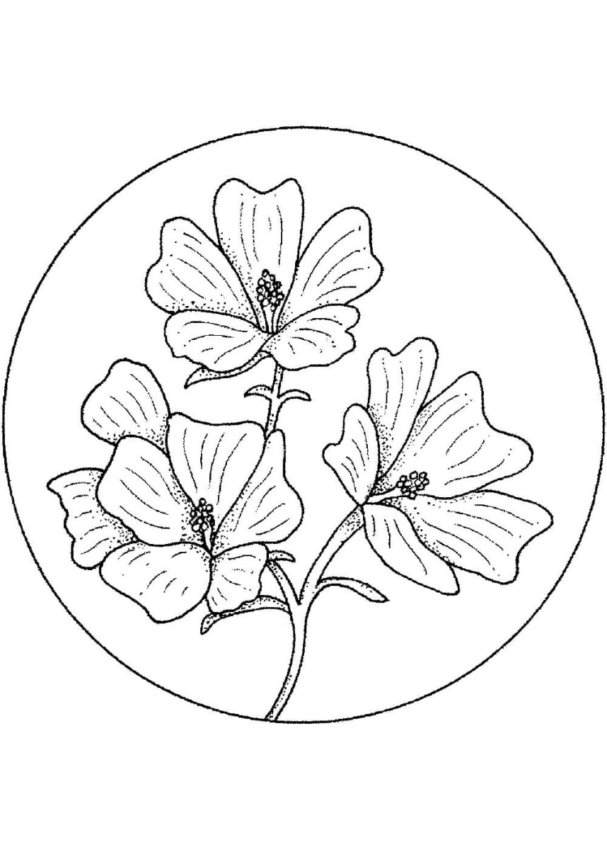 Матрешка Хохлома раскраска