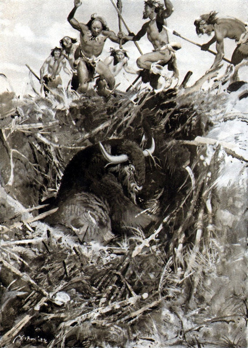 Плевракант Зденека Буриана