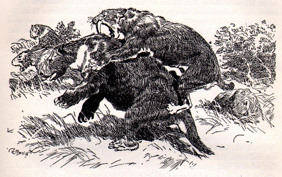 Иллюстратор Зденек Буриан