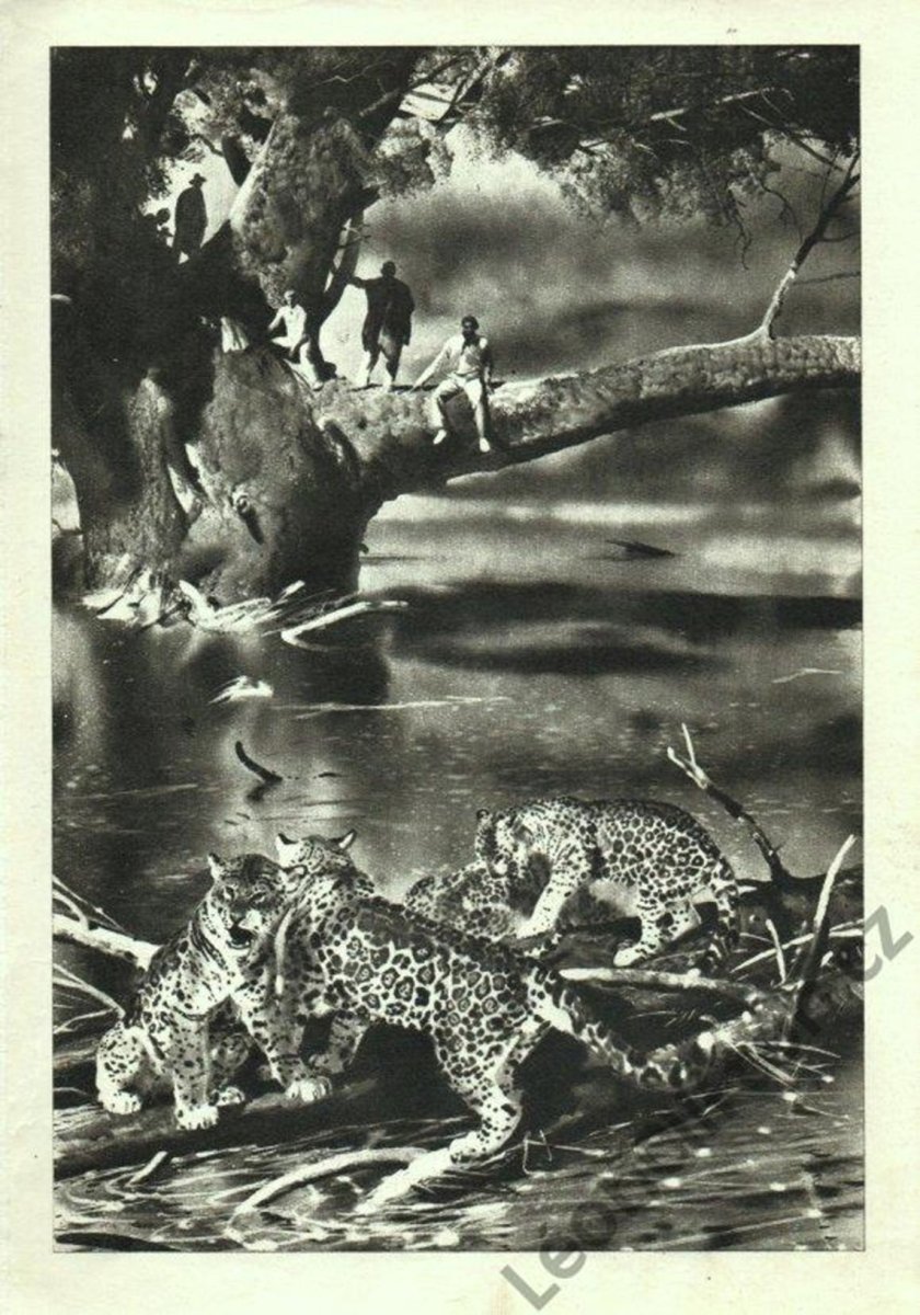 Зденек Буриан 1958