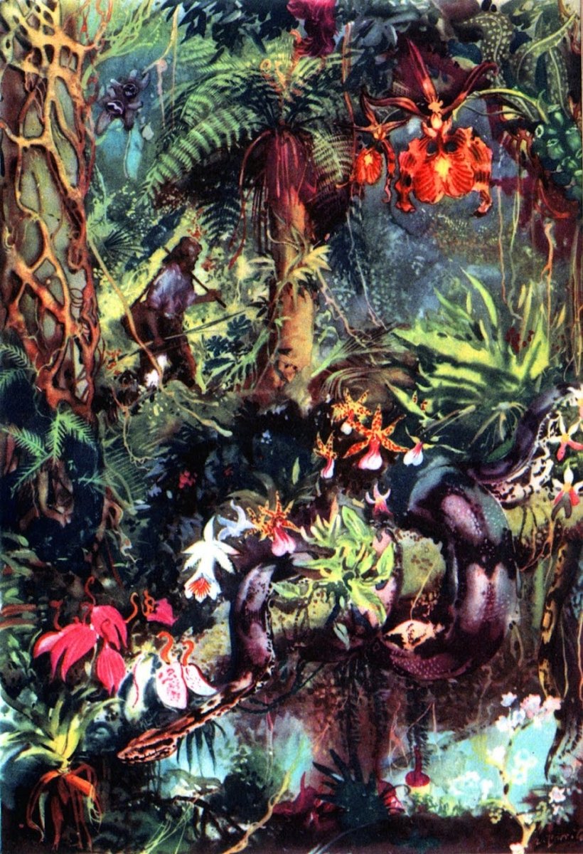 Зденек Буриан каменный век люди