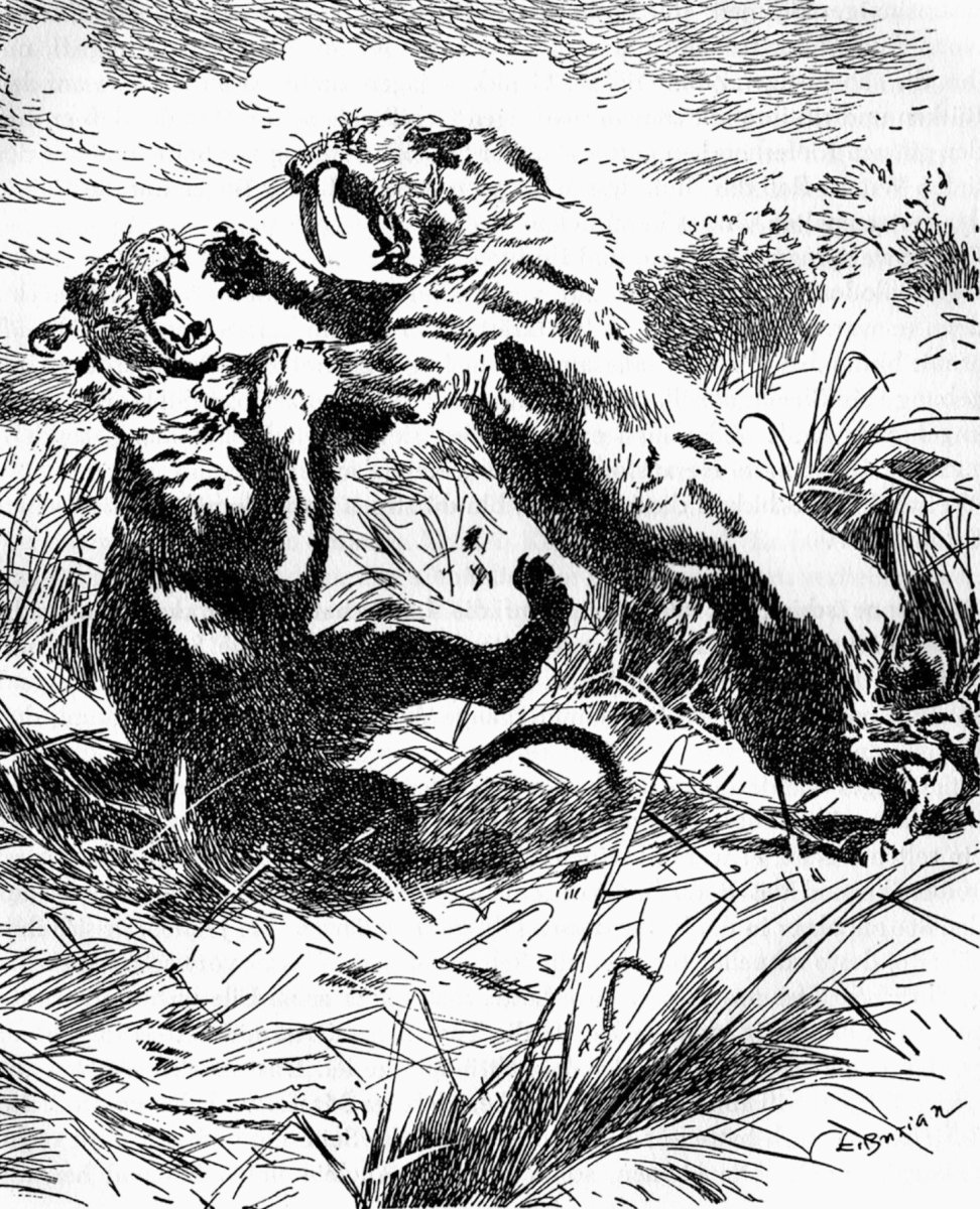 Зденек Буриан капитана Немо