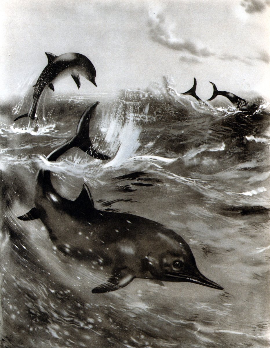 Зденек Буриан пещерный медведь