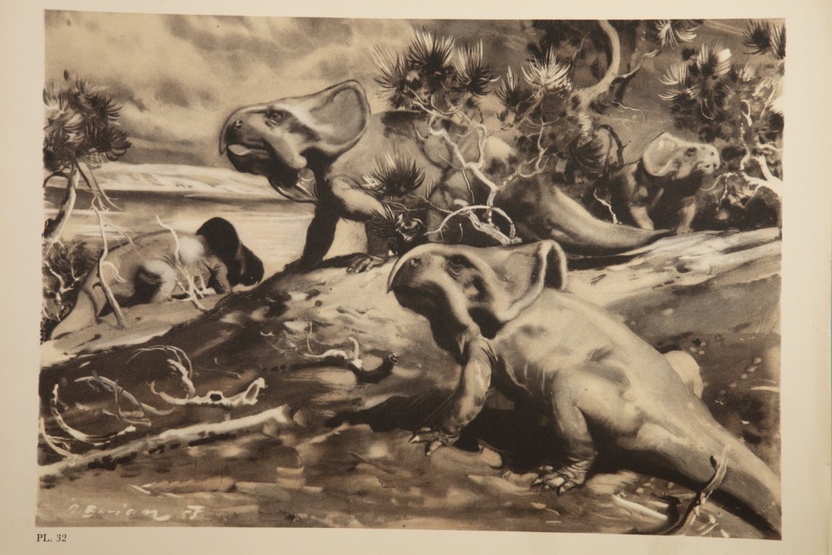 Зденек Буриан (1905-1981)