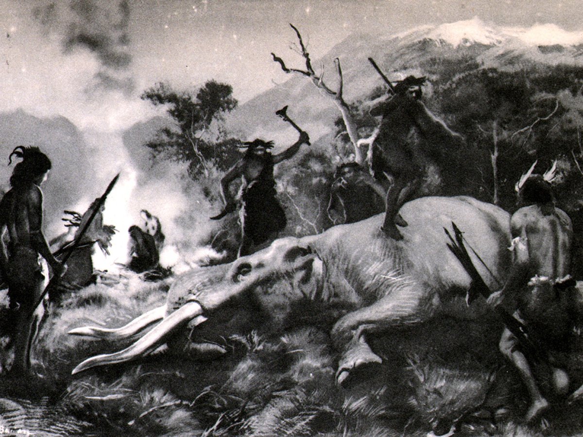 Как нарисовать доисторический лес