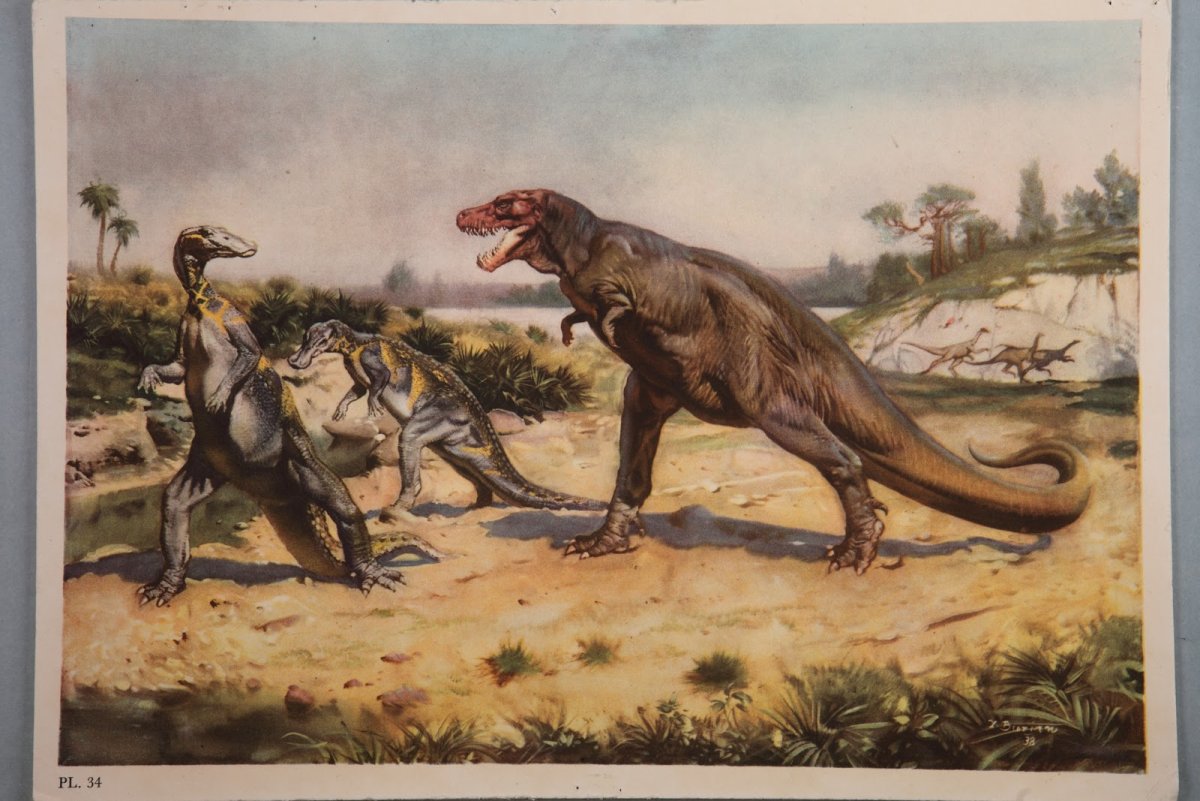 Зденек Буриан динозавры