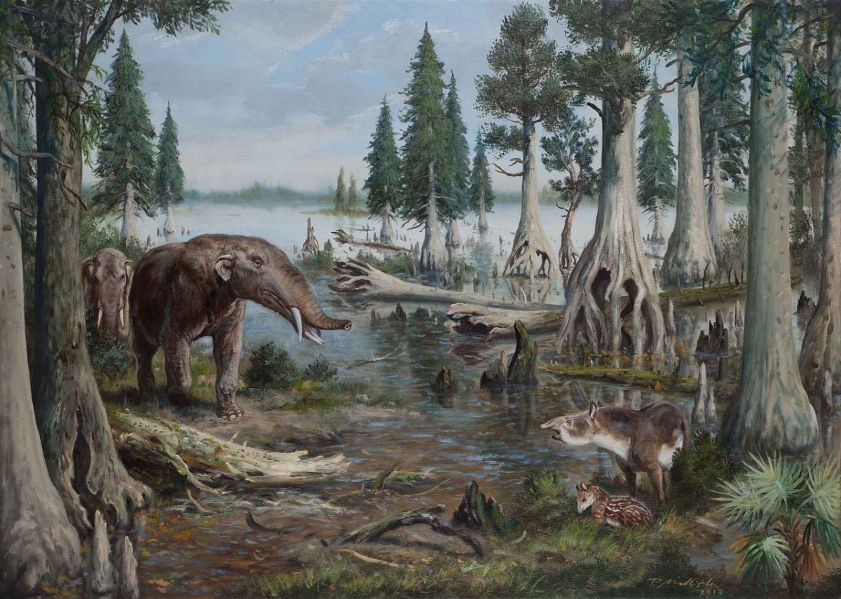 Зденек Буриан 1958