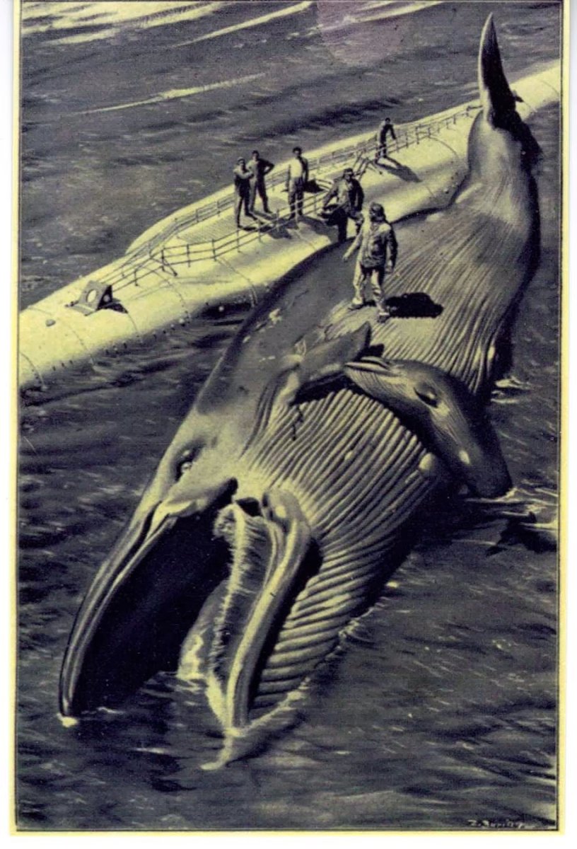 Зденек Буриан доисторические люди