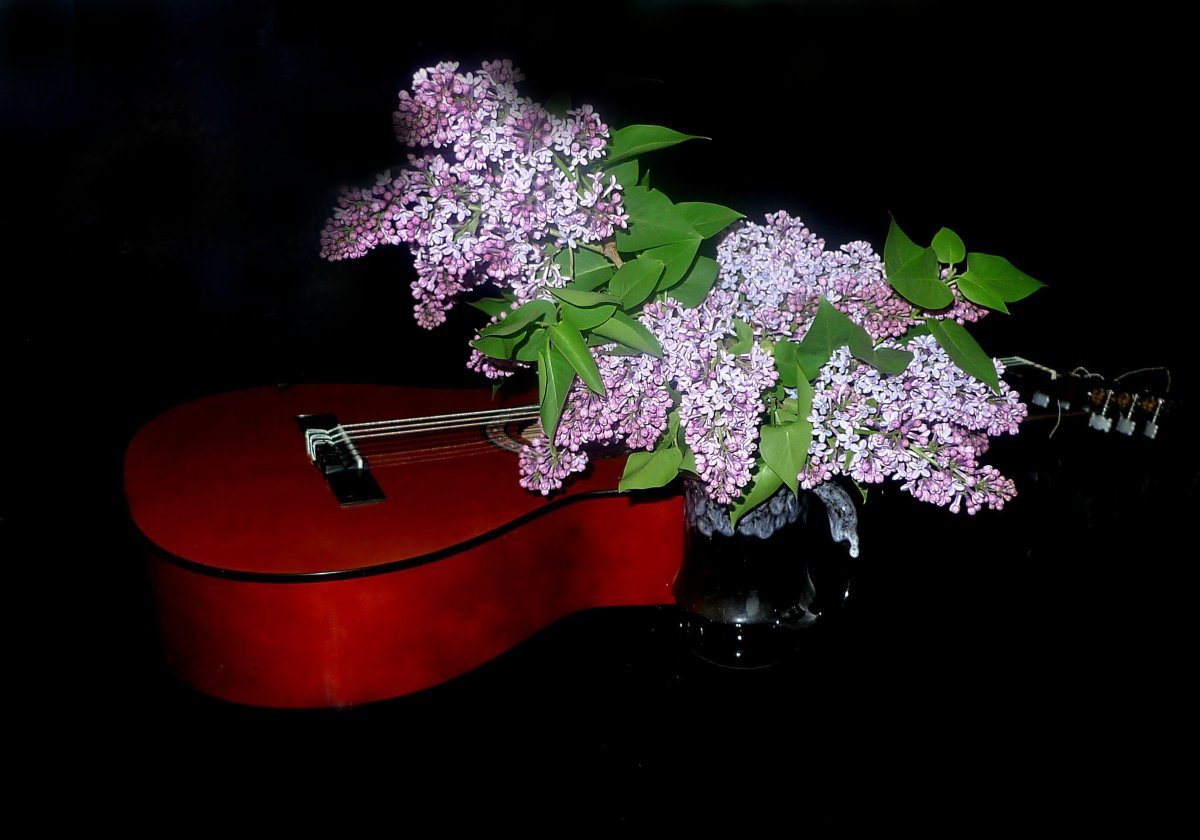 Гитара и сирень натюрморт