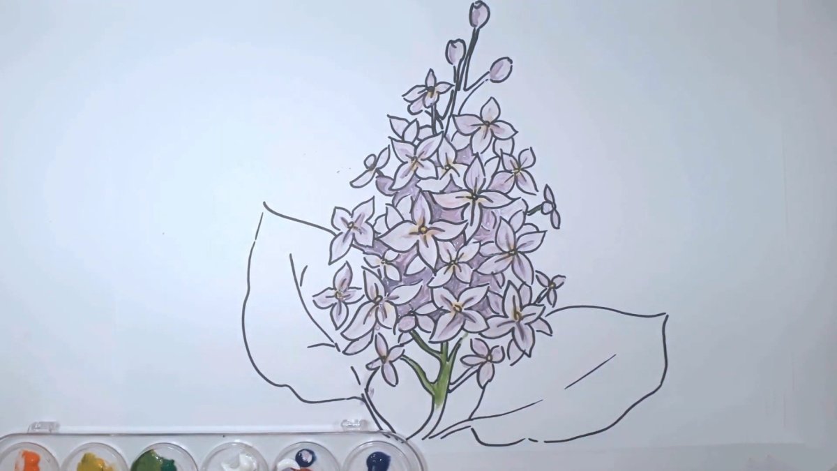 Нарисовать сирень карандашом
