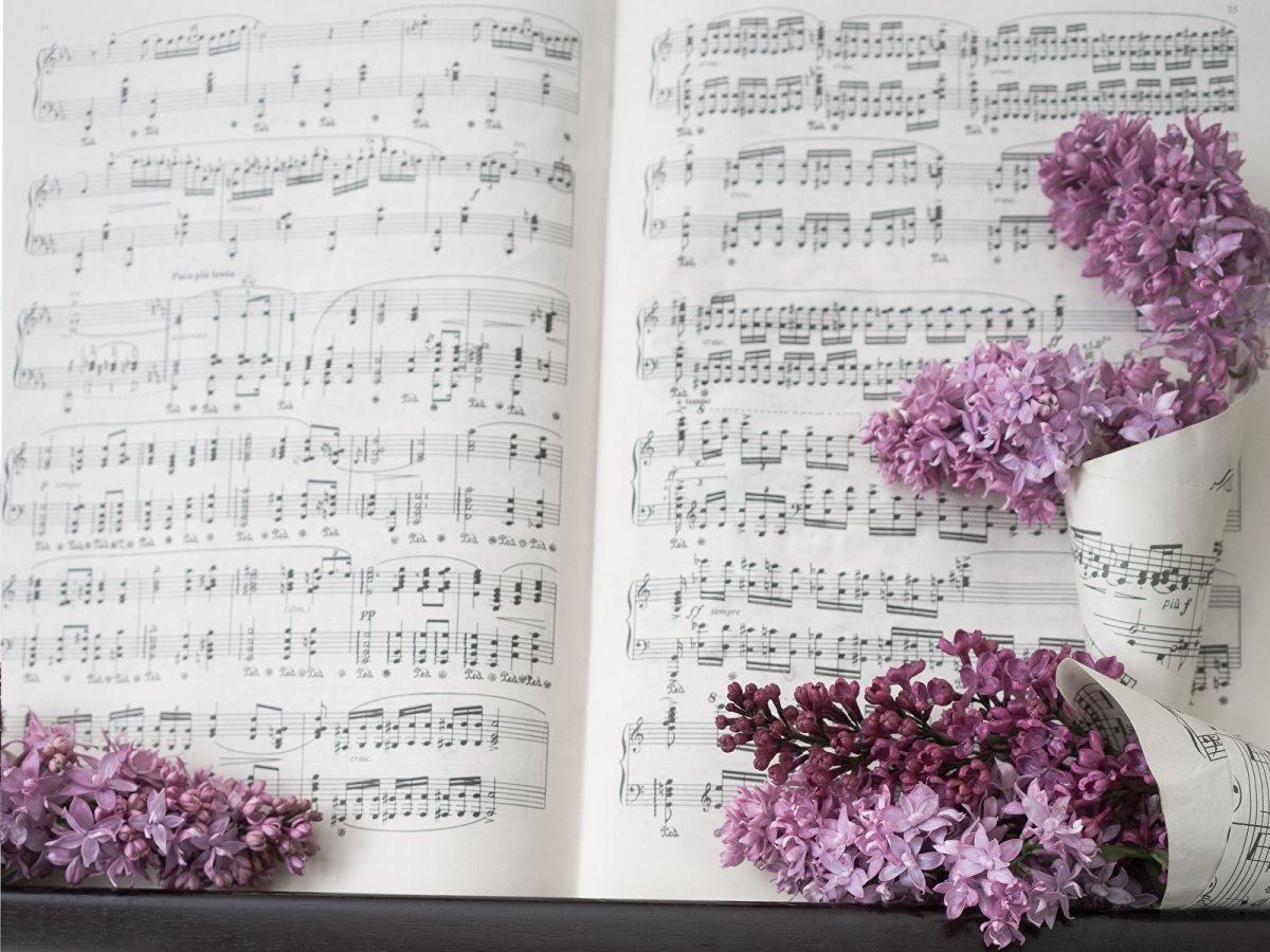 Фон Ноты и цветы